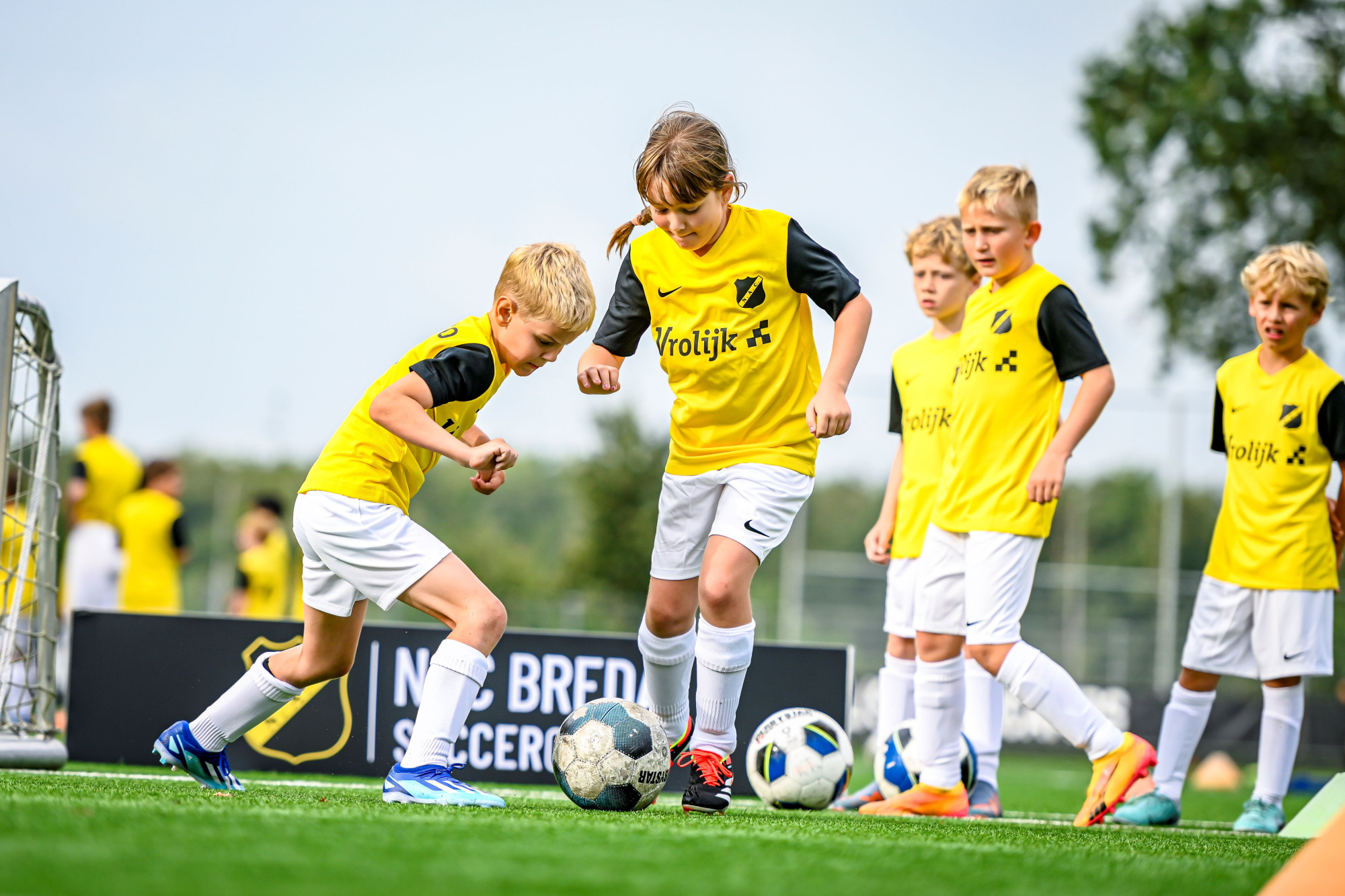 nac najaar 3